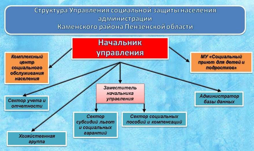 Структура организации